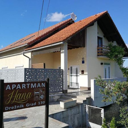 Studio Apartman Hana Apartment Dreznik Grad ภายนอก รูปภาพ