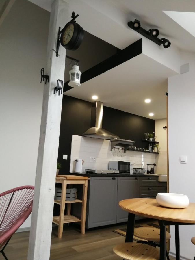 Studio Apartman Hana Apartment Dreznik Grad ภายนอก รูปภาพ