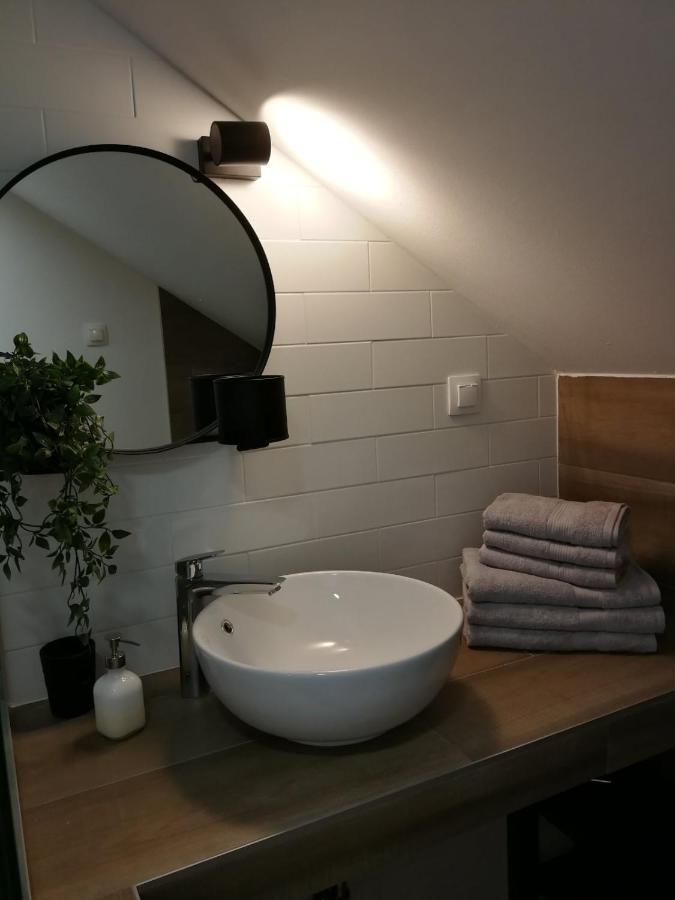 Studio Apartman Hana Apartment Dreznik Grad ภายนอก รูปภาพ