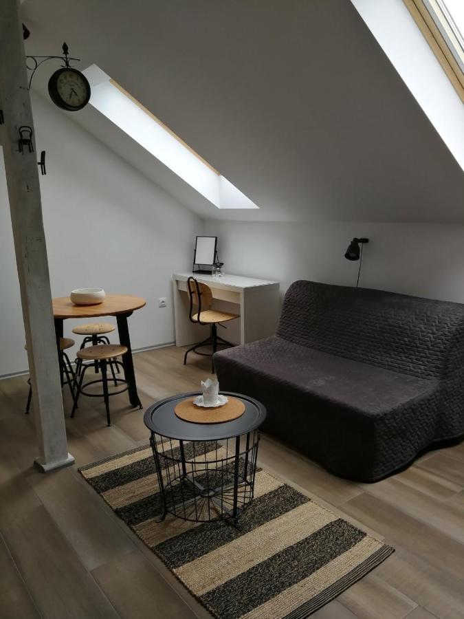 Studio Apartman Hana Apartment Dreznik Grad ภายนอก รูปภาพ