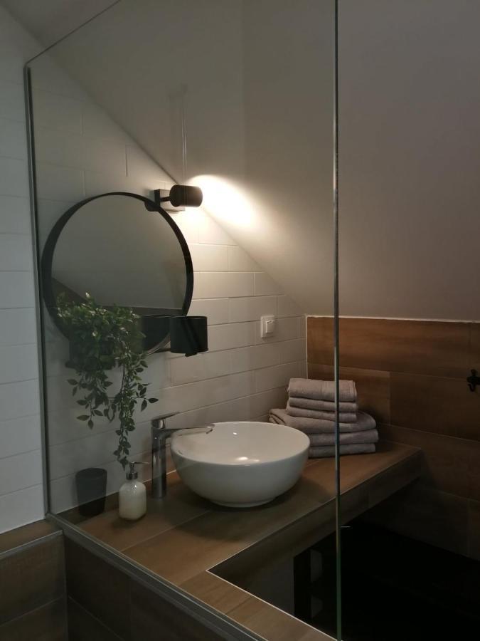 Studio Apartman Hana Apartment Dreznik Grad ภายนอก รูปภาพ