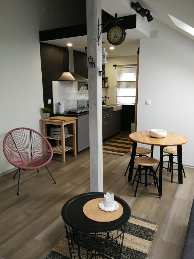 Studio Apartman Hana Apartment Dreznik Grad ภายนอก รูปภาพ