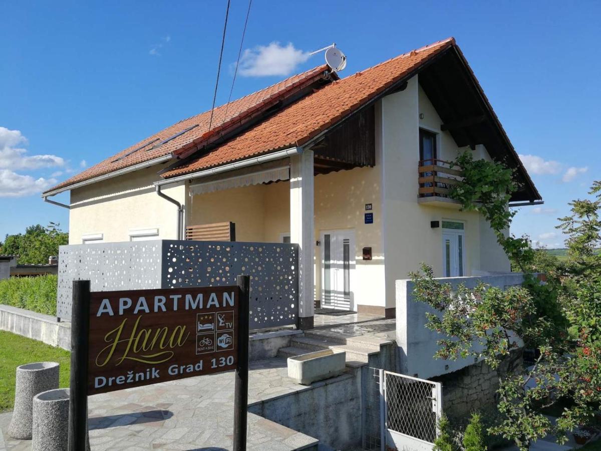 Studio Apartman Hana Apartment Dreznik Grad ภายนอก รูปภาพ