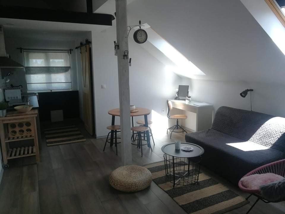 Studio Apartman Hana Apartment Dreznik Grad ภายนอก รูปภาพ
