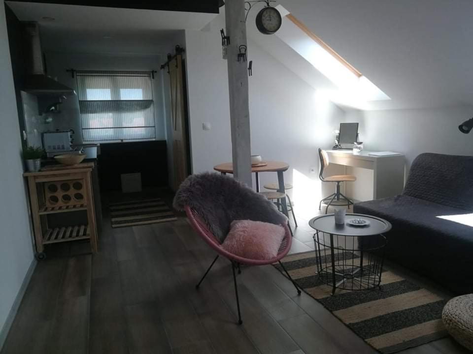 Studio Apartman Hana Apartment Dreznik Grad ภายนอก รูปภาพ